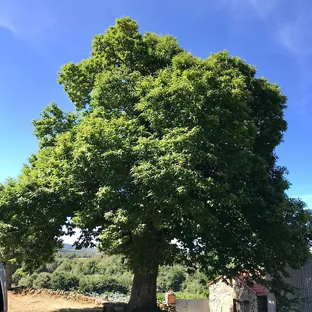 Casa Dos Mouros Alpstuga Montederramo