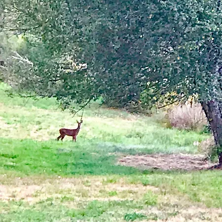 Casa Dos Mouros Alpstuga Montederramo